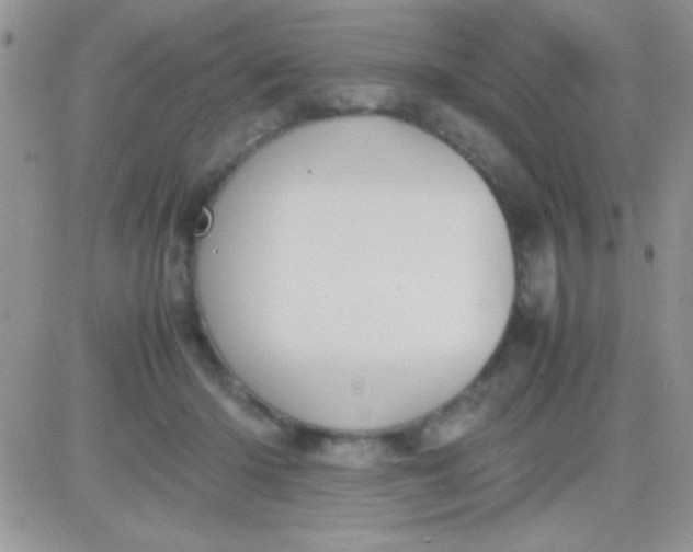 X0000081370414200701252019