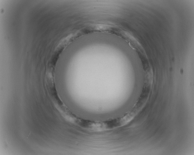 X0000081370415200701252019