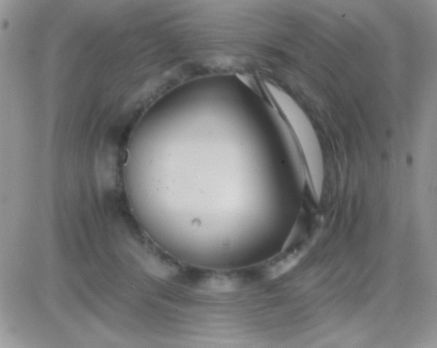 X0000081370416200701252019