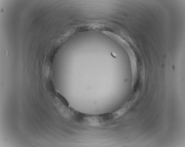 X0000081370417200701252019