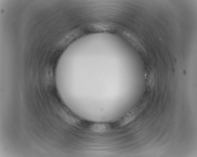 X0000081370418200701252019