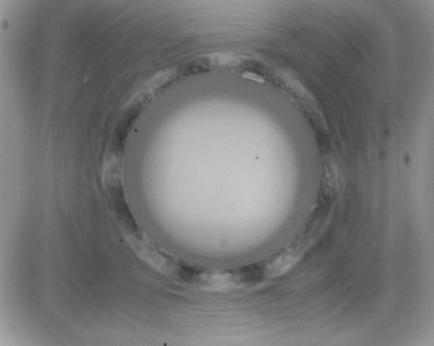 X0000081370419200701252019