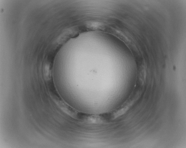 X0000081370420200701252019