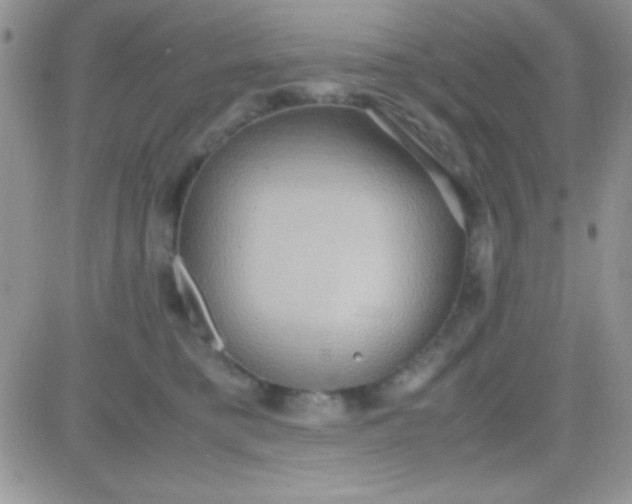 X0000081370421200701252019