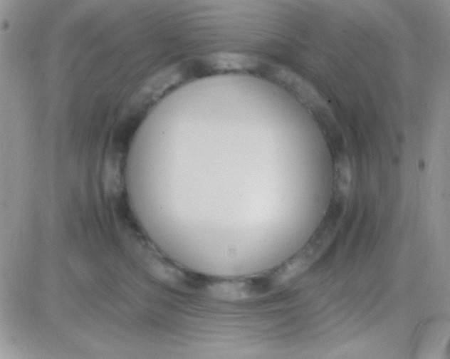 X0000081370422200701252019