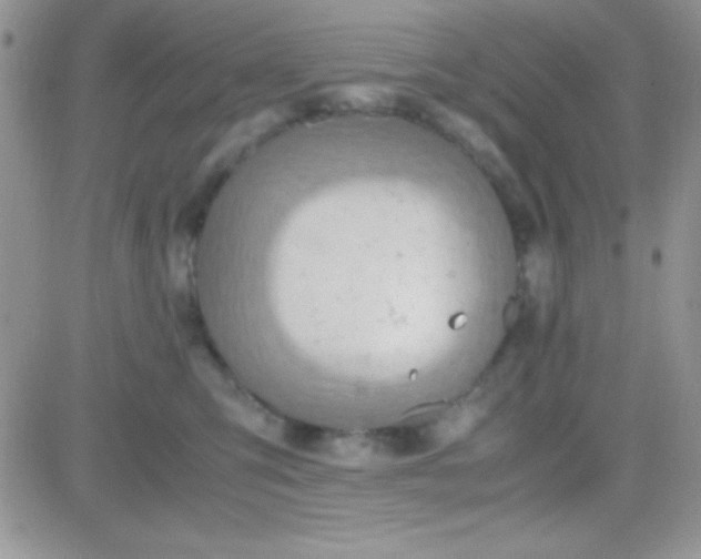 X0000081370423200701252019