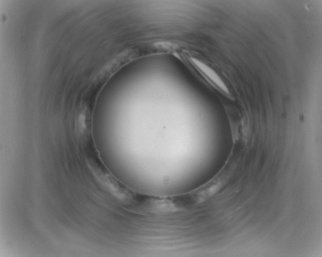 X0000081370424200701252019