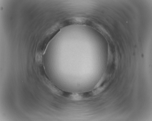 X0000081370425200701252019