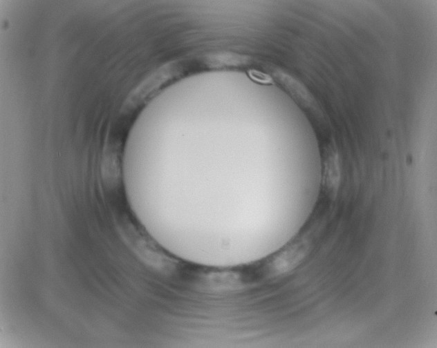 X0000081370426200701252019