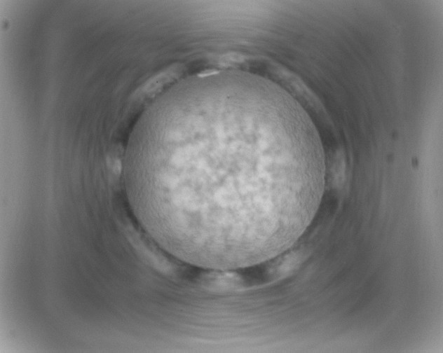 X0000081370427200701252019