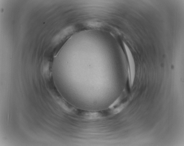 X0000081370428200701252019