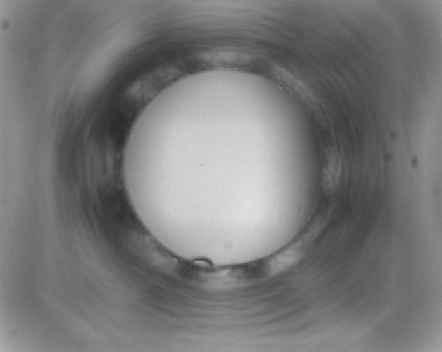 X0000081370430200701252019