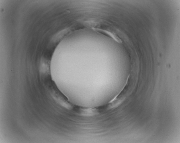 X0000081370432200701252019