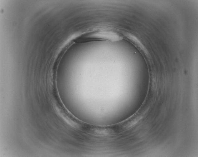 X0000081370439200701252018