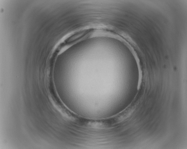 X0000081370440200701252018