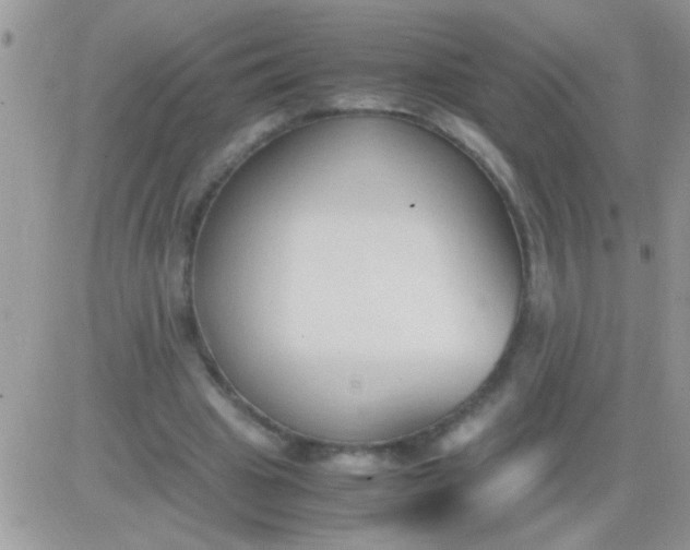 X0000081370441200701252018