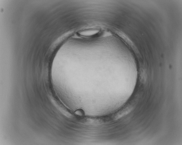 X0000081370442200701252018