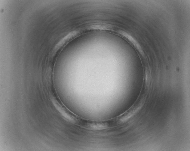 X0000081370445200701252018