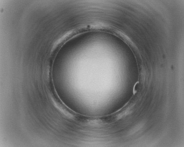 X0000081370446200701252018