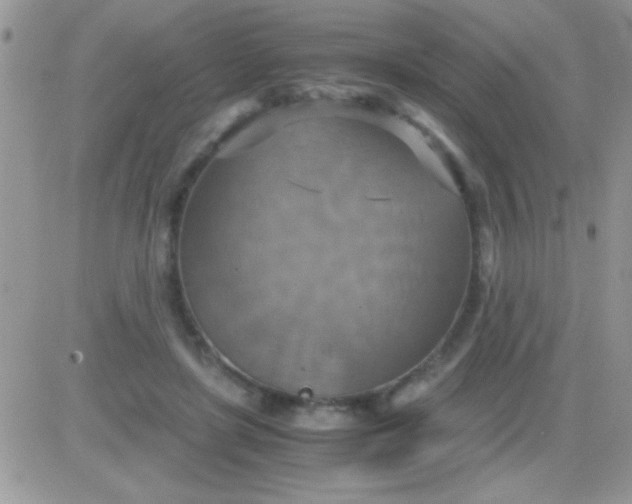 X0000081370451200701252018