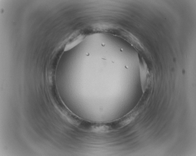 X0000081370452200701252018