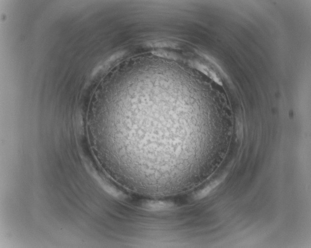 X0000081370453200701252018