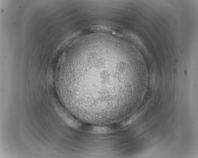 X0000081370457200701252018