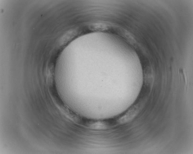 X0000081370460200701252018