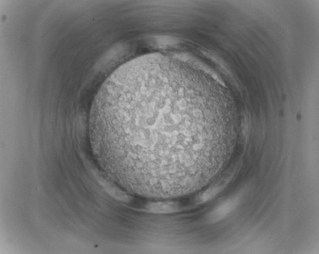 X0000081370461200701252018