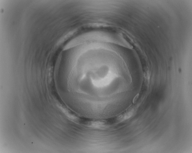 X0000081370462200701252018