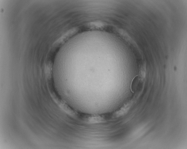 X0000081370468200701252018