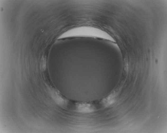 X0000081370471200701252018