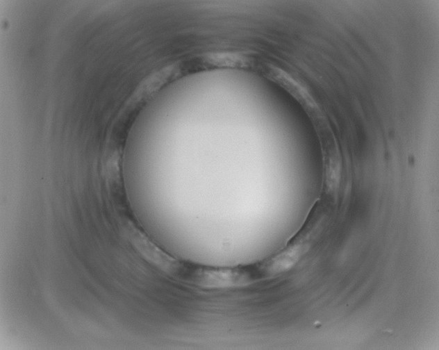 X0000081370473200701252019