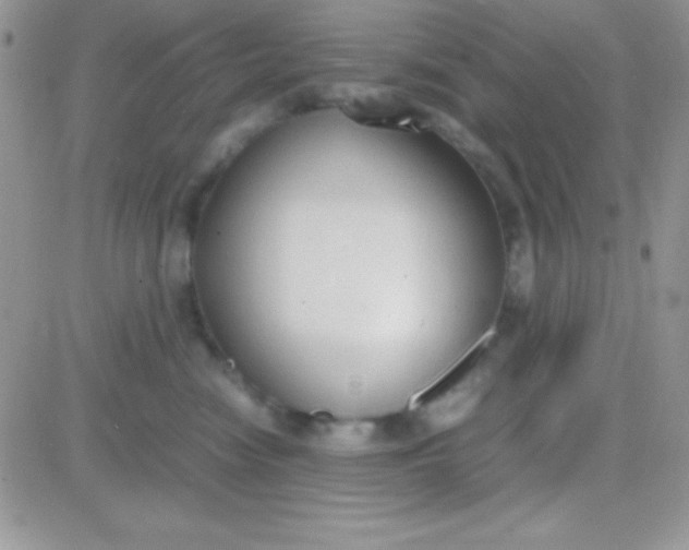 X0000081370474200701252019