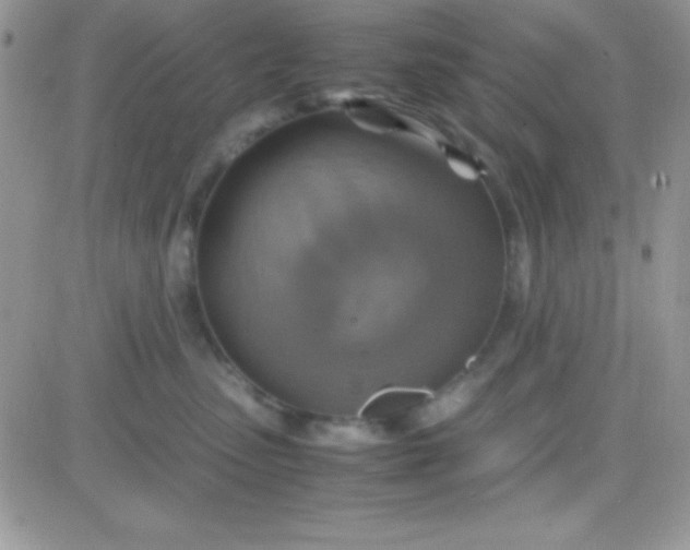 X0000081370475200701252019