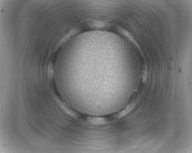 X0000081370476200701252019