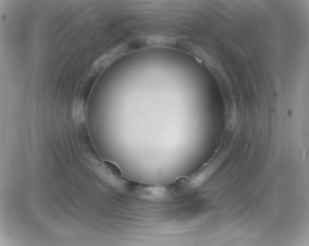 X0000081370478200701252019