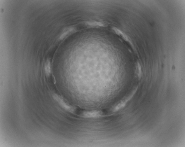 X0000081370479200701252019