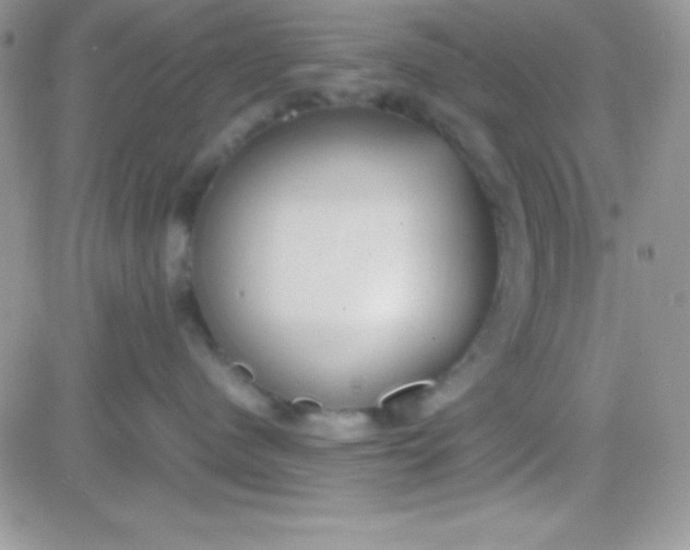 X0000081370480200701252019