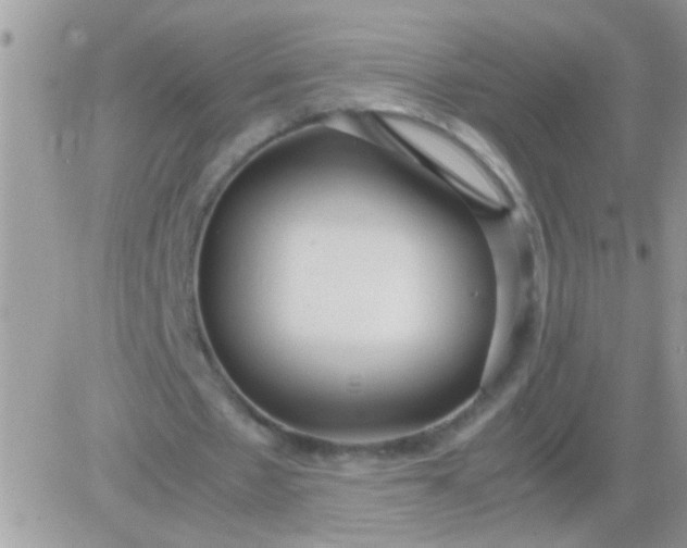 X0000081370481200701252018