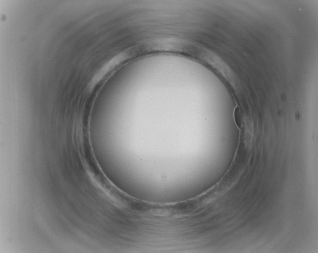 X0000081370482200701252018