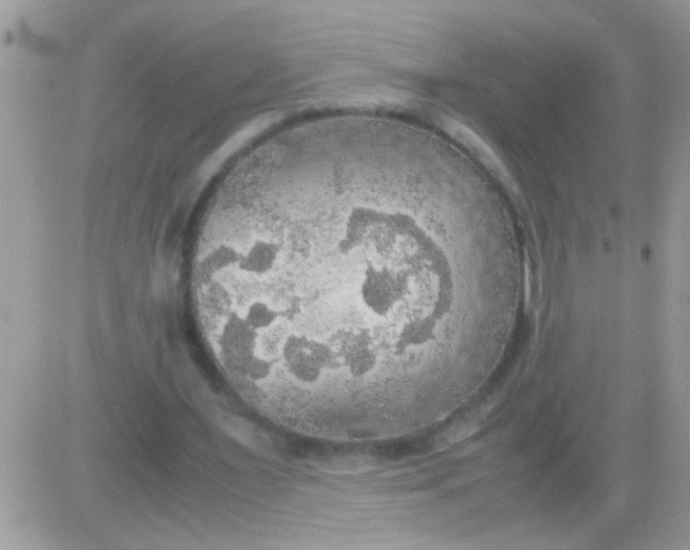 X0000081370483200701252018