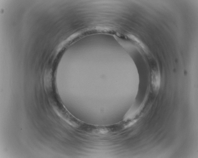 X0000081370492200701252018