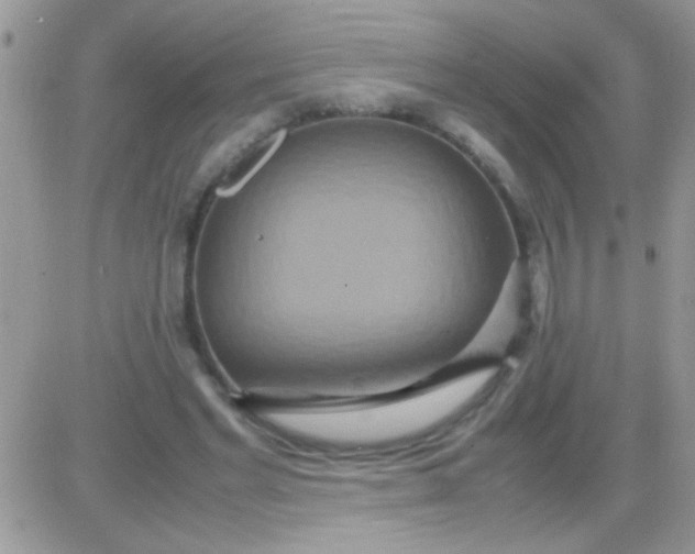 X0000081370493200701252018