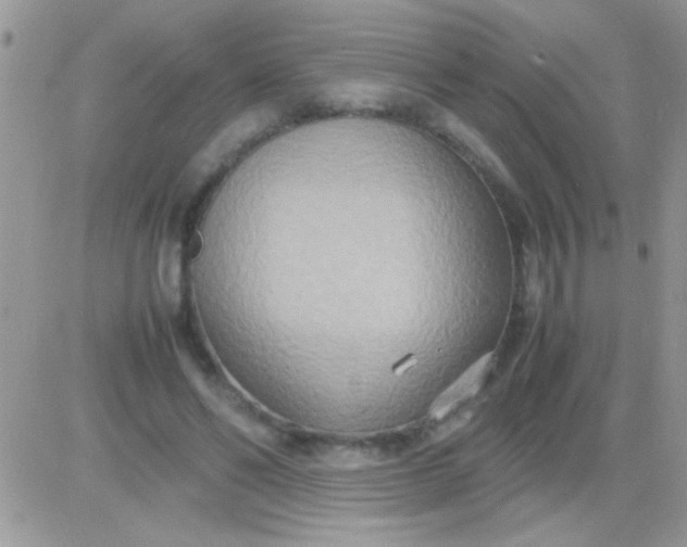 X0000081370494200701252018