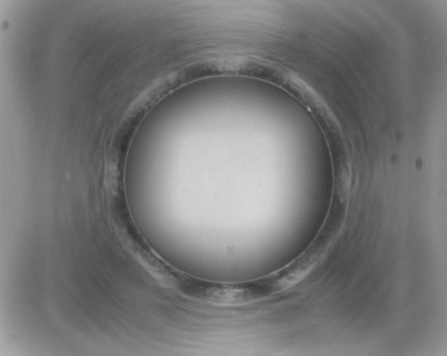 X0000081370497200701252018