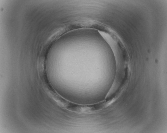 X0000081370501200701252018