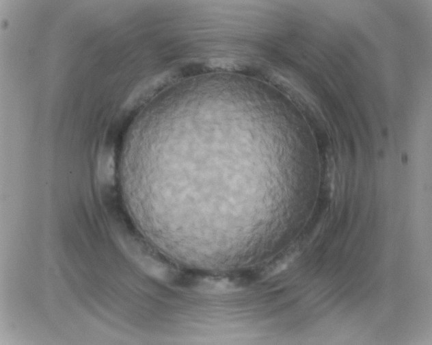 X0000081370502200701252018