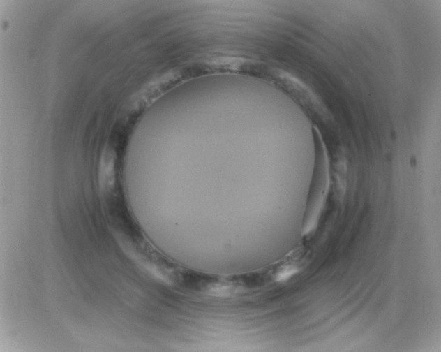 X0000081370504200701252017