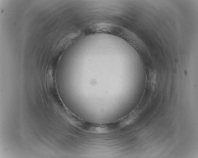 X0000081370506200701252017